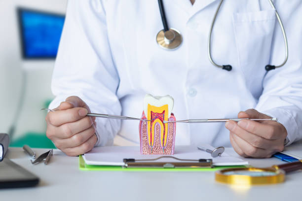 Best Emergency Root Canal Treatment in Tara Hills, CA